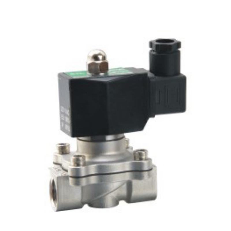 Elettrovalvola a solenoide in acciaio inossidabile a 2 posizioni e 2 vie serie 2S
