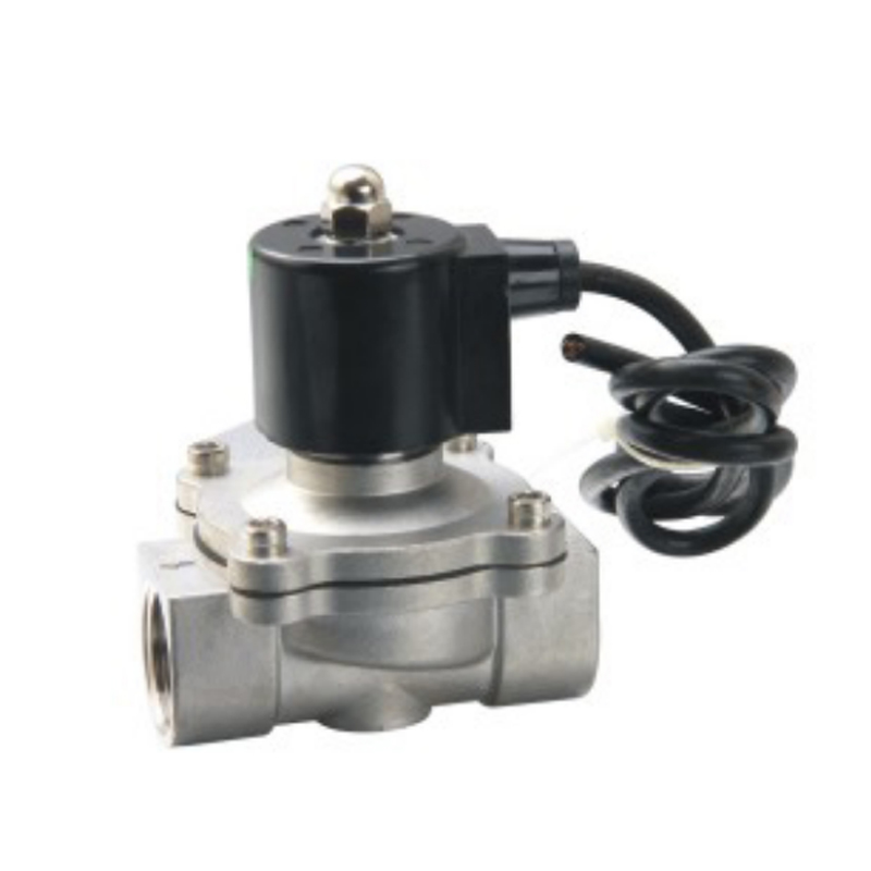 Elettrovalvola a solenoide in acciaio inossidabile a 2 posizioni e 2 vie serie 2S