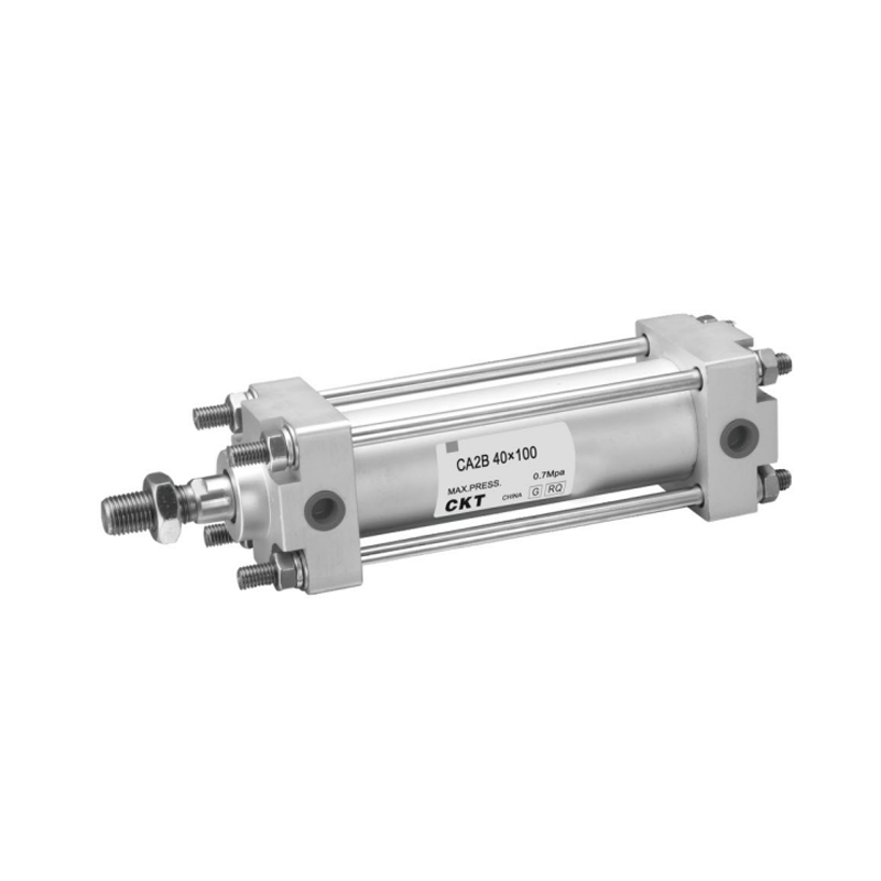 Cilindri standard serie CA2